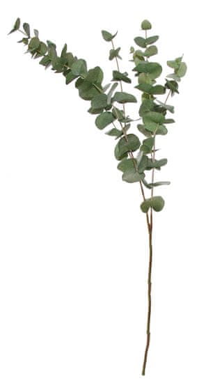 Shishi Dekoratív eukaliptusz 100 cm
