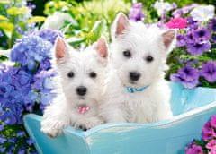 Castorland Puppies West Highland Terrier puzzle 60 darabos puzzle
