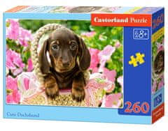 Castorland Puzzle Tacskó kosárban 260 darabos puzzle