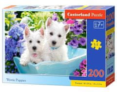 Castorland Puppies West Highland Terrier puzzle 200 darabos puzzle