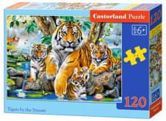 Castorland Puzzle Tigrisek a folyónál 120 darab