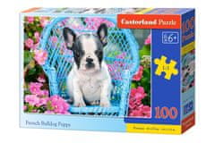 Castorland Francia bulldog kiskutya puzzle 100 darabos puzzle