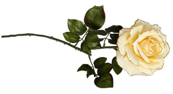 EverGreen Rózsa, 13,5 cm-es virággal, v. 77 cm C
