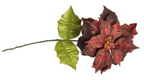 EverGreen Mikulásvirág, 23 cm-es virággal, v. 82 cm