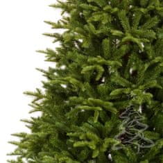 Karácsonyfa Kaukázusi jegenyefenyő 180 cm