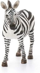 Schleich Zebra nőstény 14810
