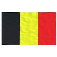 Vidaxl belga alumínium zászló és rúd 5,55 m 3147117
