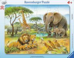 Ravensburger Afrikai állatok puzzle 30 db