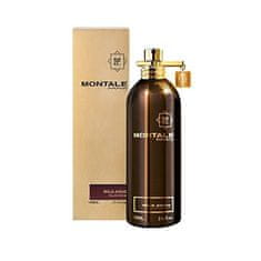 Montale Paris Wild Aoud - EDP 100 ml