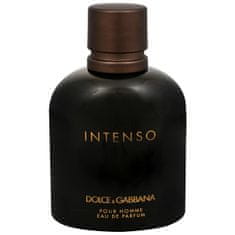 Dolce & Gabbana Pour Homme Intenso - EDP - TESZTER 125 ml