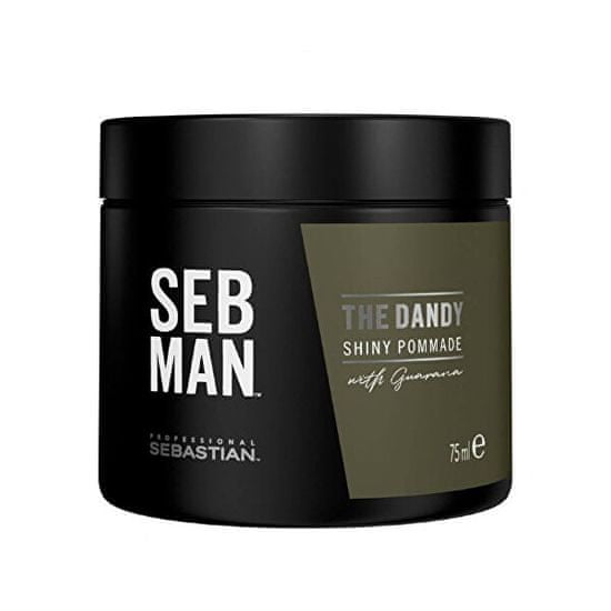 Sebastian Pro. Hajpomádé SEB MAN The Dandy (Shiny Pommade) 75 ml