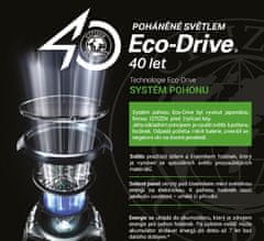Citizen Eco-Drive Elegance EM0912-84Y