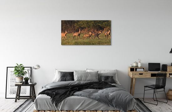 tulup.hu Canvas képek Deer Golf napkelte
