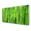 Modern üvegkép Bamboo Stem Flower Plant 120x60cm 2 fogas