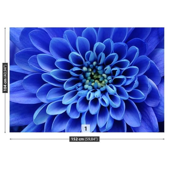 tulup.hu Fotótapéta kék virág