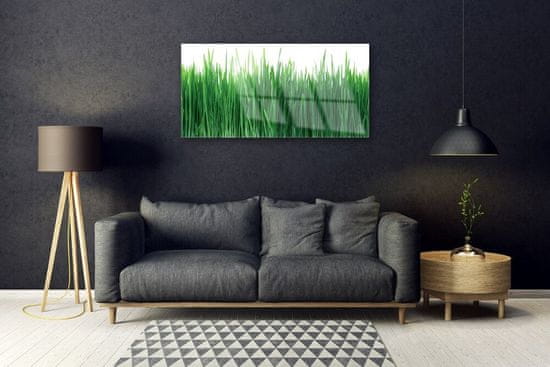 tulup.hu Akril üveg kép Grass Nature Plant