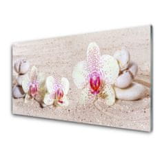 tulup.hu Fali üvegkép Orchidea Orchidea Sand 100x50 cm