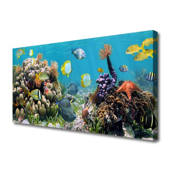 tulup.hu Vászonkép falra Barrier Reef Nature