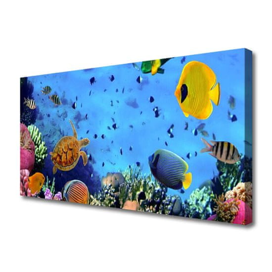 tulup.hu Vászonkép falra Coral Reef Halak Természet