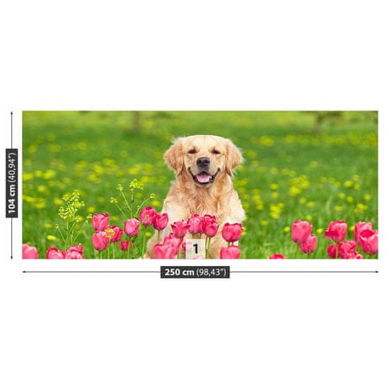 tulup.hu Fotótapéta kutya tulipánok