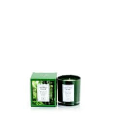 Ashleigh & Burwood WHITE CEDAR & BERGAMOT - illatos gyertya üvegben Az illatos otthon, 42 óra