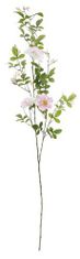Shishi Vadrózsa világos rózsaszín 1,25 m