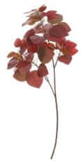 Shishi Ág piros levelekkel, magassága 70 cm
