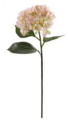 Shishi Hortenzia sárga-rózsaszín 70 cm