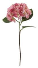 Shishi Rózsaszín hortenzia 70 cm