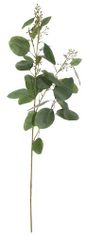 Shishi Az eukaliptusz zöld ága, magassága 100 cm