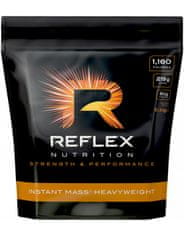 Reflex Nutrition Instant Mass Heavyweight 5400 g, eper-tejszín