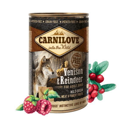 Carnilove Wild Meat Szarvashús és Rénszarvas 6x 400 g