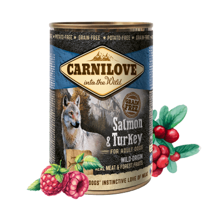 Carnilove Wild Meat Lazac és Pulyka 6x 400 g