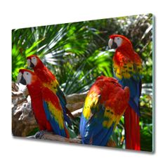 tulup.hu Üveg vágódeszka papagájok ara 60x52 cm