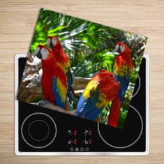 tulup.hu Üveg vágódeszka papagájok ara 60x52 cm