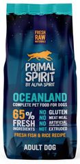 Primal Spirit Dog 65% Oceanland, 12 kg