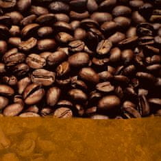 Starbucks Breakfast Blend by NESPRESSO Medium Roast Kávékapszula, 10 kapszula egy csomagban, 56g
