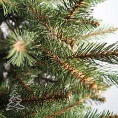 Karácsonyfa Kaukázusi lucfenyő 2D 220 cm