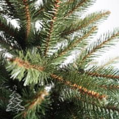 Karácsonyfa Kaukázusi lucfenyő 2D 220 cm