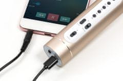 Teddies Karaoke mikrofon Bluetooth arany akkumulátoros