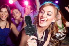 Teddies Karaoke mikrofon Bluetooth fekete elemes