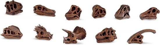 Safari Ltd. Tuba - Dinoszaurusz koponyák