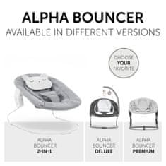 Alpha Bouncer 2in1 Pastel Bear Light Grey