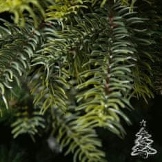 Karácsonyfa Cashmere lucfenyő 250 cm