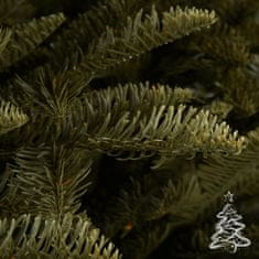 Karácsonyfa Kaukázusi jegenyefenyő 100 % 180 cm