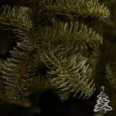 Karácsonyfa Kaukázusi jegenyefenyő 100 % 180 cm
