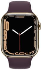 Apple Watch Series 7 Cellular, 45mm Gold Stainless Steel Case Dark Cherry Sport Band MKJX3HC/A