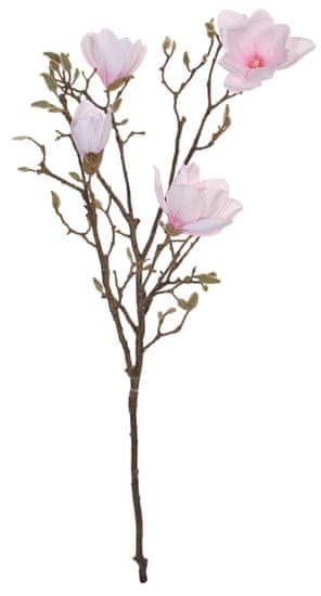 Shishi Rózsaszín magnólia 115 cm