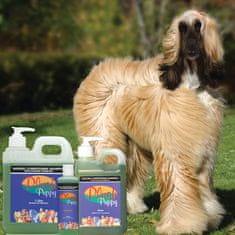 Plush Puppy Hidratáló sampon Natural Conditioning Shampoo 100 ml
