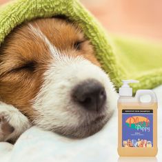 Plush Puppy Sampon érzékeny bőrre Sensitive Skin Shampoo 100 ml